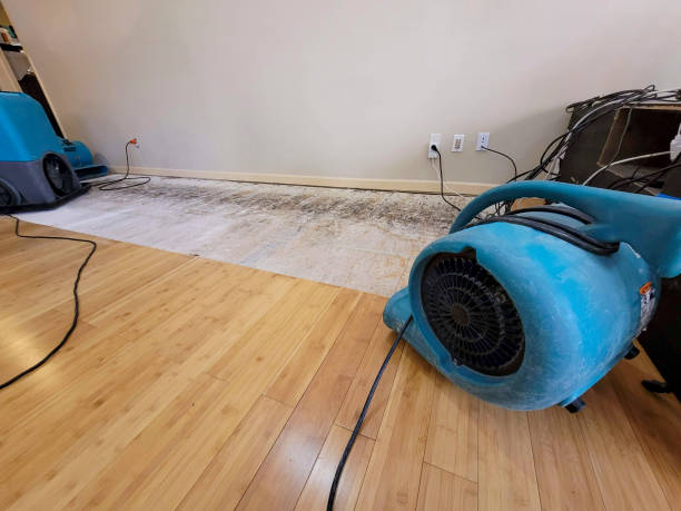 Professional Structural Drying technician working in Mehama, OR